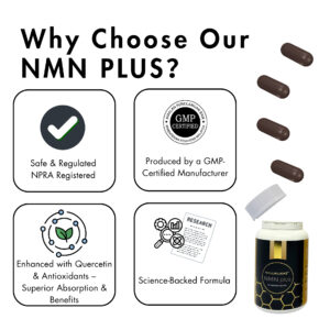 intro nmn3