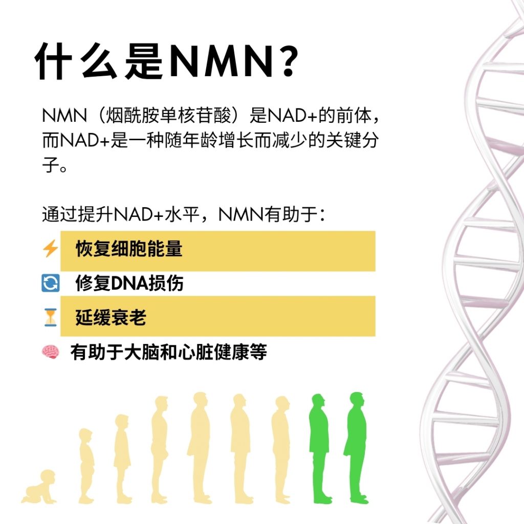 product showcase CN2