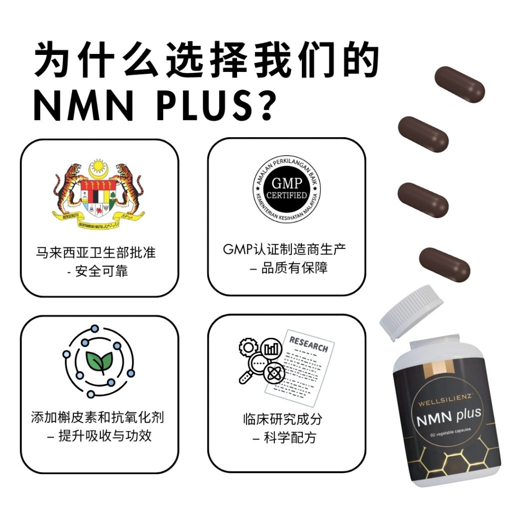 product showcase CN3