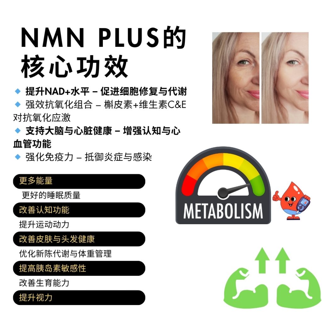 product showcase CN4