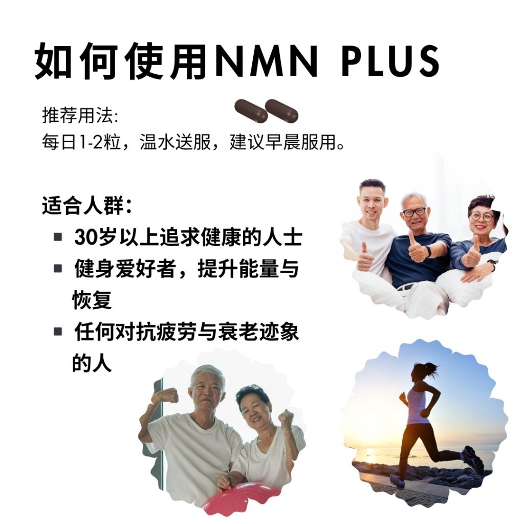 product showcase CN5