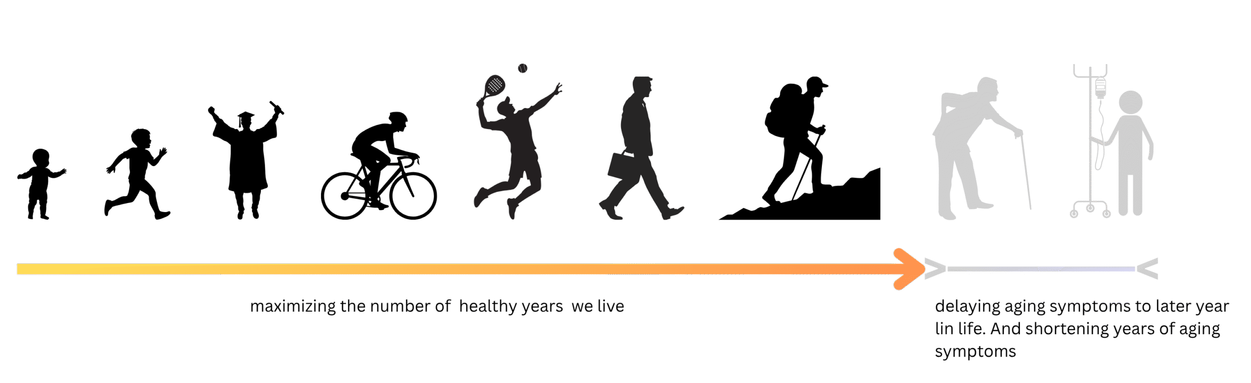 extend healthspan scaled